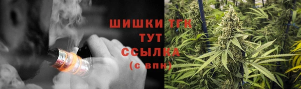 винт Арсеньев