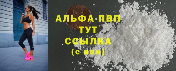 винт Арсеньев